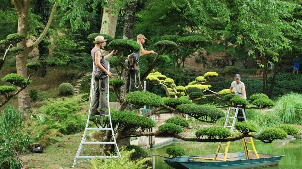 Au parc oriental de Maulévrier, es visiteurs découvrent, au cours de leur promenade, la taille en transparence, en plateaux, en moutonnement… ». Un site à voir dur France 5 le 2 août. ©Parc oriental Au parc oriental de Maulévrier, es visiteurs découvrent, au cours de leur promenade, la taille en transparence, en plateaux, en moutonnement… ». Un site à voir dur France 5 le 2 août. ©Parc oriental